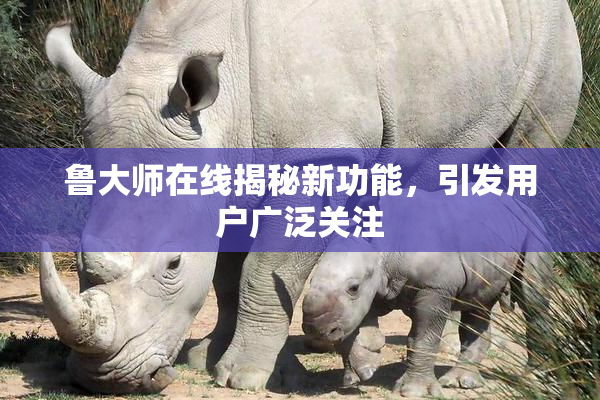 鲁大师在线揭秘新功能，引发用户广泛关注