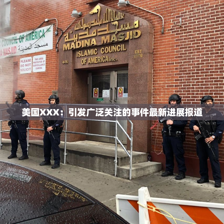 美国XXX：引发广泛关注的事件最新进展报道
