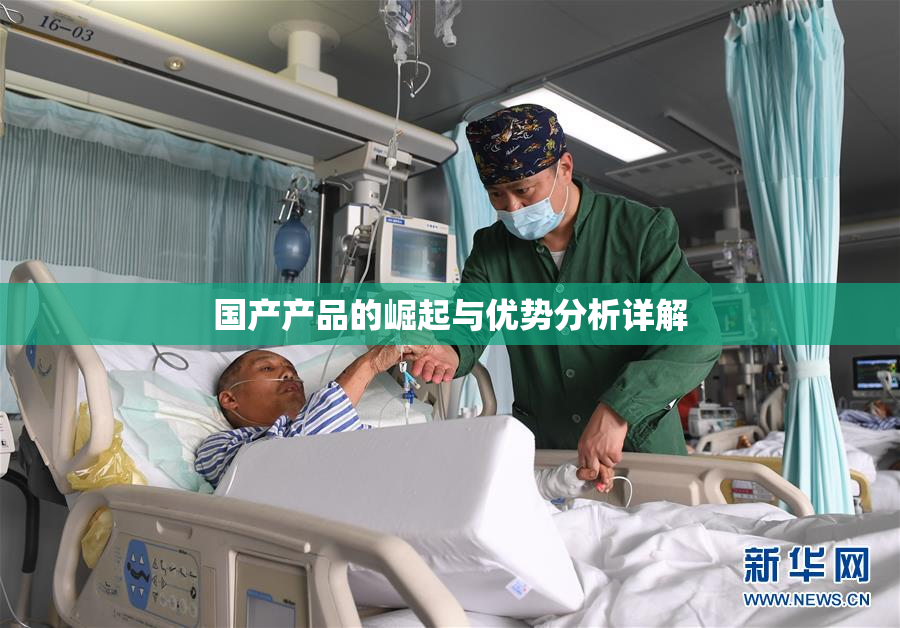 国产产品的崛起与优势分析详解