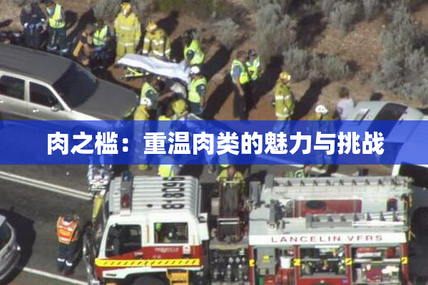 肉之槛：重温肉类的魅力与挑战
