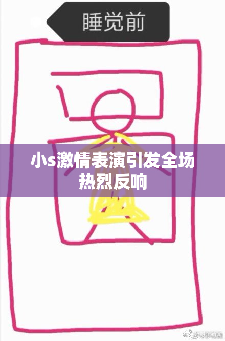 小s激情表演引发全场热烈反响