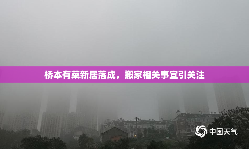 桥本有菜新居落成，搬家相关事宜引关注