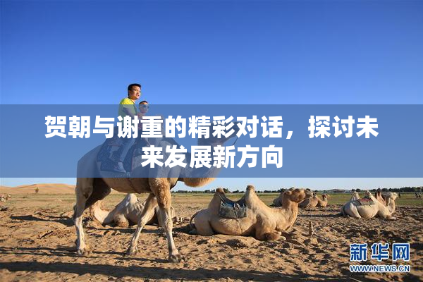 贺朝与谢重的精彩对话，探讨未来发展新方向