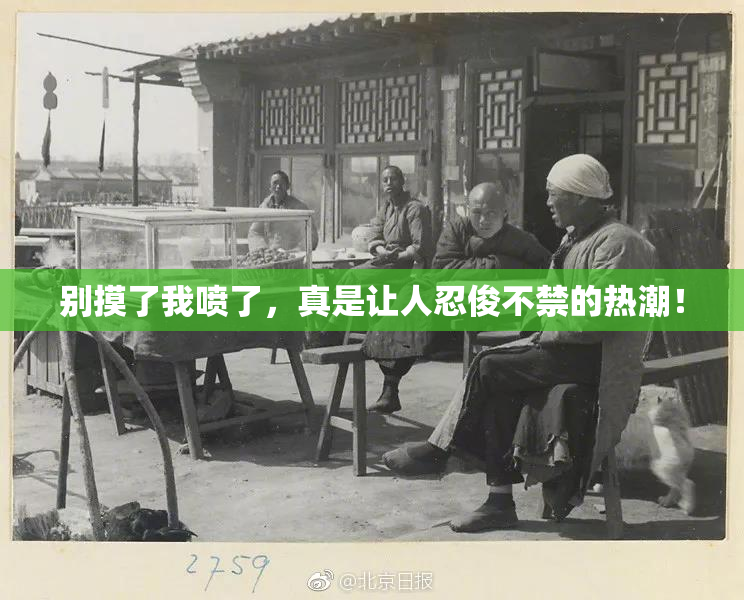 别摸了我喷了，真是让人忍俊不禁的热潮！