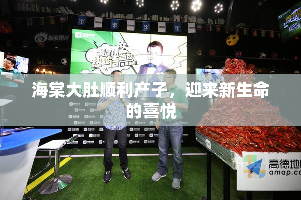 海棠大肚顺利产子，迎来新生命的喜悦