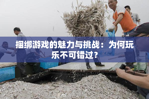 捆绑游戏的魅力与挑战：为何玩乐不可错过？