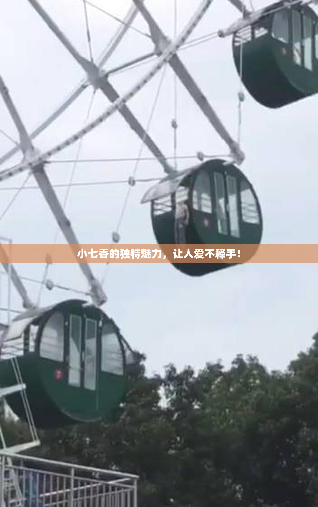 小七香的独特魅力，让人爱不释手！