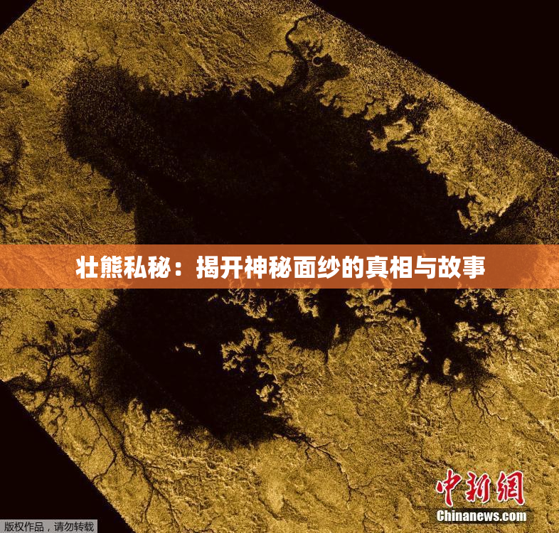 壮熊私秘：揭开神秘面纱的真相与故事