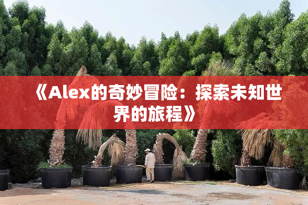 《Alex的奇妙冒险：探索未知世界的旅程》