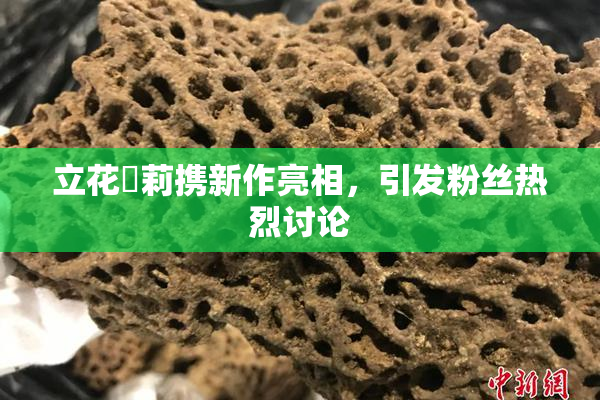 立花瑠莉携新作亮相，引发粉丝热烈讨论