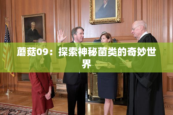 蘑菇09：探索神秘菌类的奇妙世界