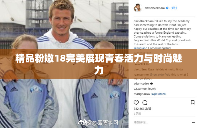 精品粉嫩18完美展现青春活力与时尚魅力