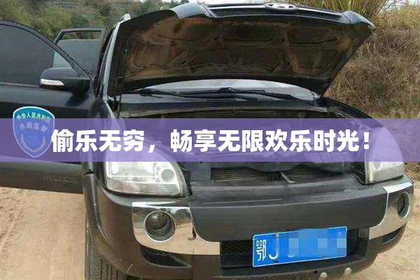 偷乐无穷，畅享无限欢乐时光！