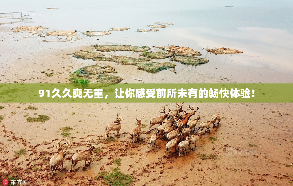 91久久爽无重，让你感受前所未有的畅快体验！