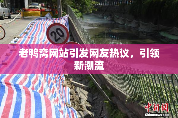 老鸭窝网站引发网友热议，引领新潮流