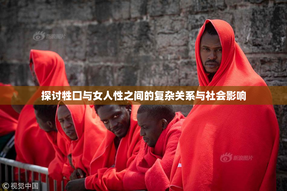 探讨牲囗与女人性之间的复杂关系与社会影响