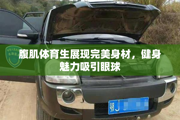 腹肌体育生展现完美身材，健身魅力吸引眼球