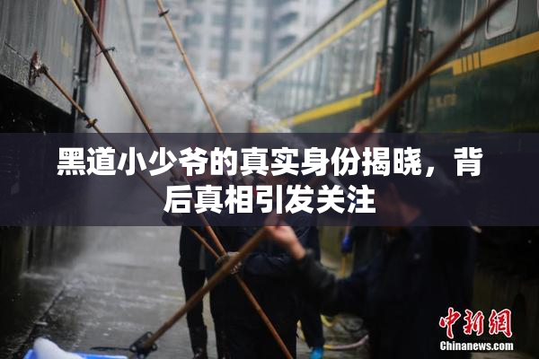 黑道小少爷的真实身份揭晓，背后真相引发关注