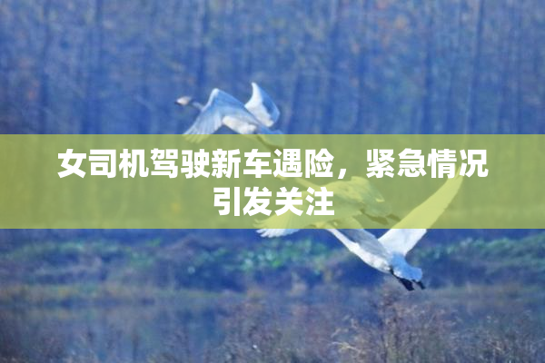 女司机驾驶新车遇险，紧急情况引发关注