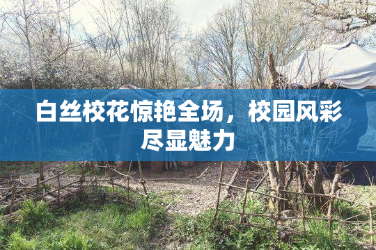 白丝校花惊艳全场，校园风彩尽显魅力