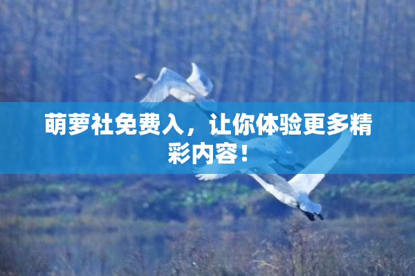 萌萝社免费入，让你体验更多精彩内容！