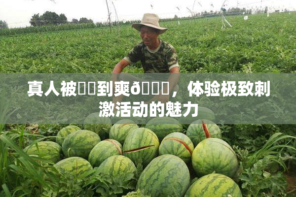 真人被❌‌到爽🔞，体验极致刺激活动的魅力