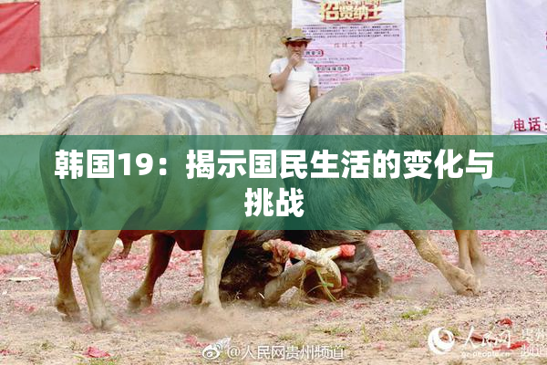 韩国19：揭示国民生活的变化与挑战