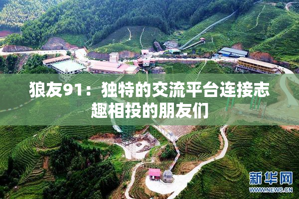 狼友91：独特的交流平台连接志趣相投的朋友们
