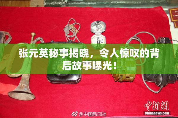 张元英秘事揭晓，令人惊叹的背后故事曝光！