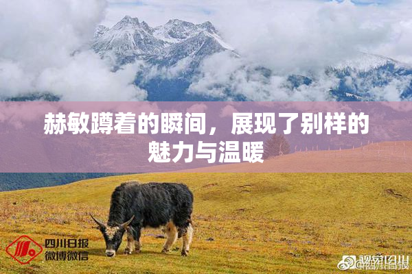 赫敏蹲着的瞬间，展现了别样的魅力与温暖