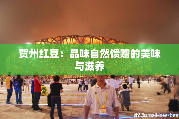 贺州红豆：品味自然馈赠的美味与滋养