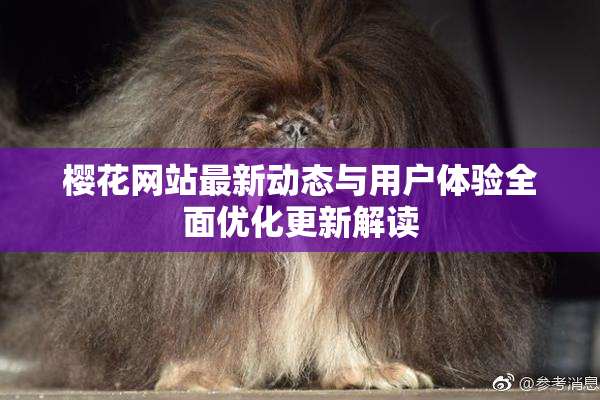 樱花网站最新动态与用户体验全面优化更新解读