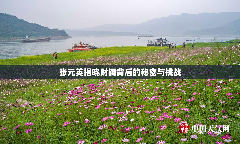 张元英揭晓财阀背后的秘密与挑战