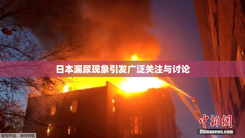 日本漏尿现象引发广泛关注与讨论