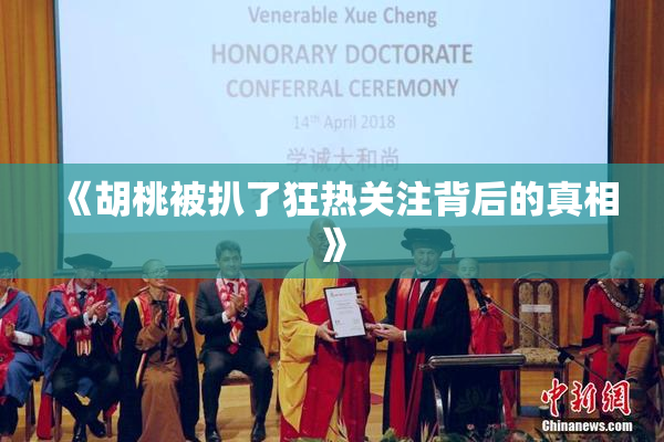《胡桃被扒了狂热关注背后的真相》