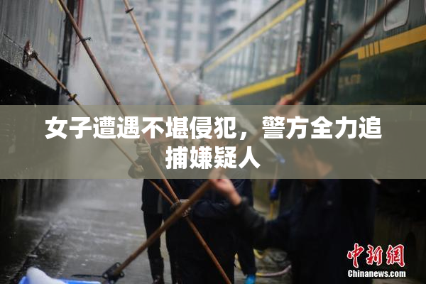 女子遭遇不堪侵犯，警方全力追捕嫌疑人