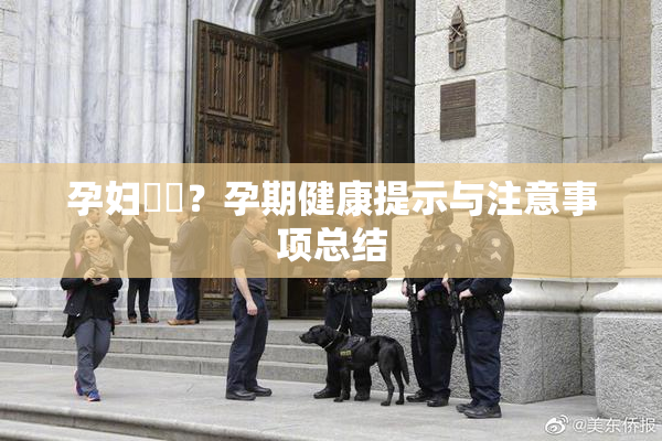 孕妇乂乄？孕期健康提示与注意事项总结