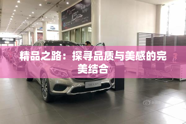 精品之路：探寻品质与美感的完美结合