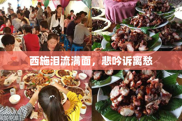 西施泪流满面，悲吟诉离愁
