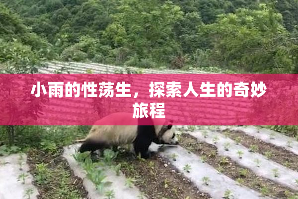 小雨的性荡生，探索人生的奇妙旅程