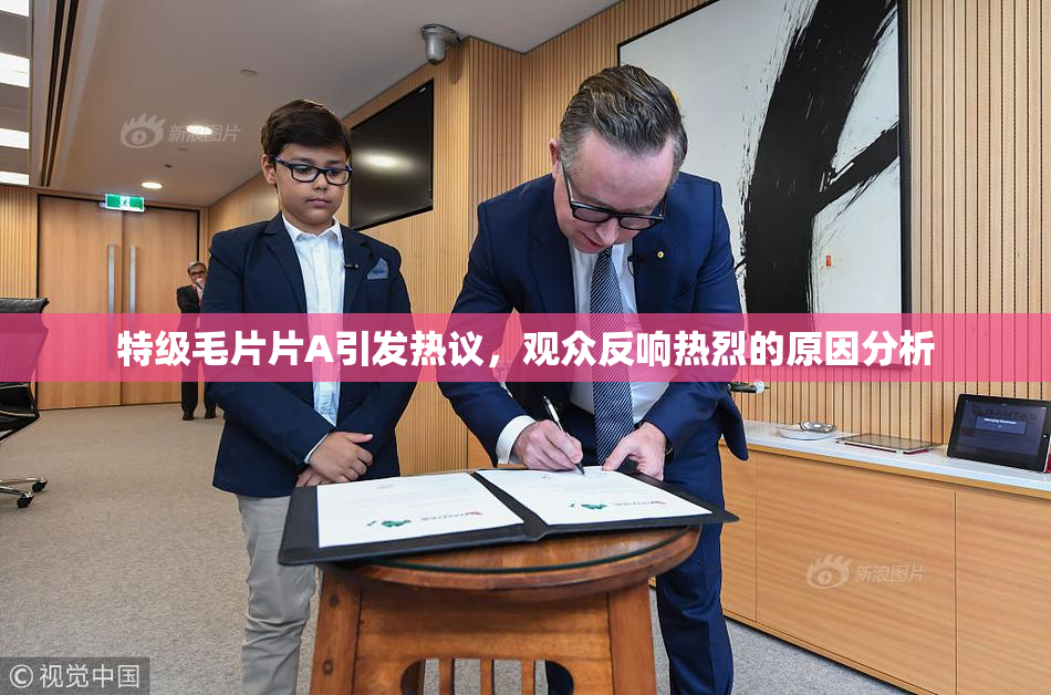 特级毛片片A引发热议，观众反响热烈的原因分析
