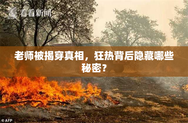老师被揭穿真相，狂热背后隐藏哪些秘密？