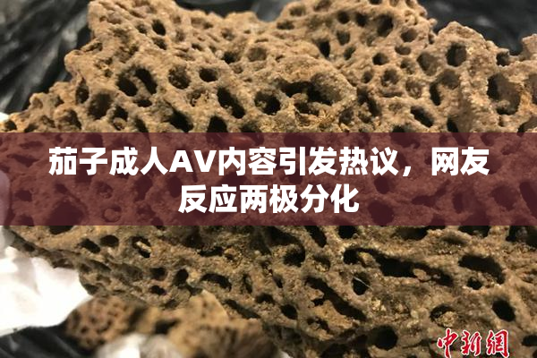 茄子成人AV内容引发热议，网友反应两极分化