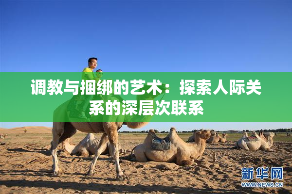 调教与捆绑的艺术：探索人际关系的深层次联系