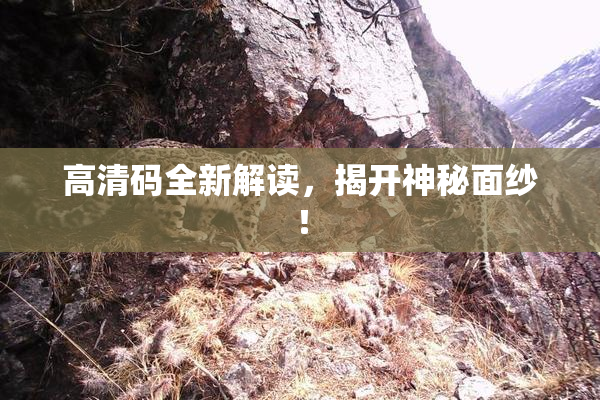 高清码全新解读，揭开神秘面纱！