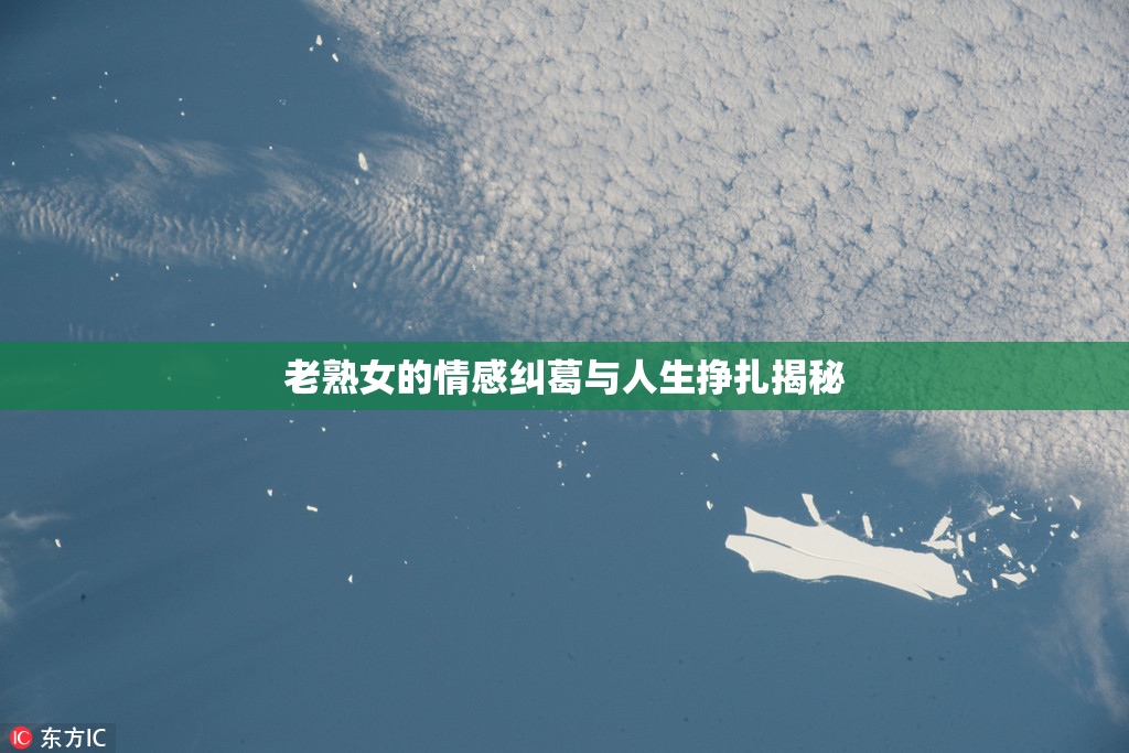 老熟女的情感纠葛与人生挣扎揭秘