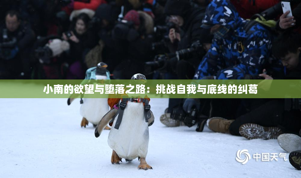 小南的欲望与堕落之路：挑战自我与底线的纠葛