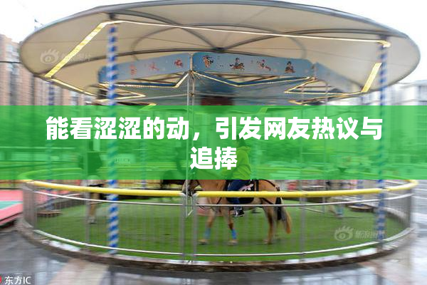 能看涩涩的动，引发网友热议与追捧