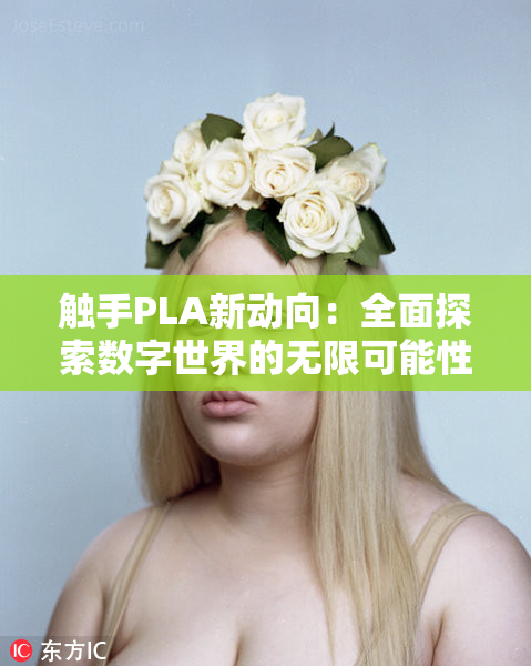 触手PLA新动向：全面探索数字世界的无限可能性！