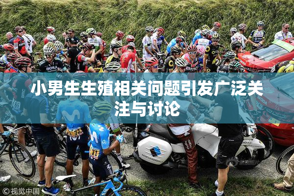 小男生生殖相关问题引发广泛关注与讨论
